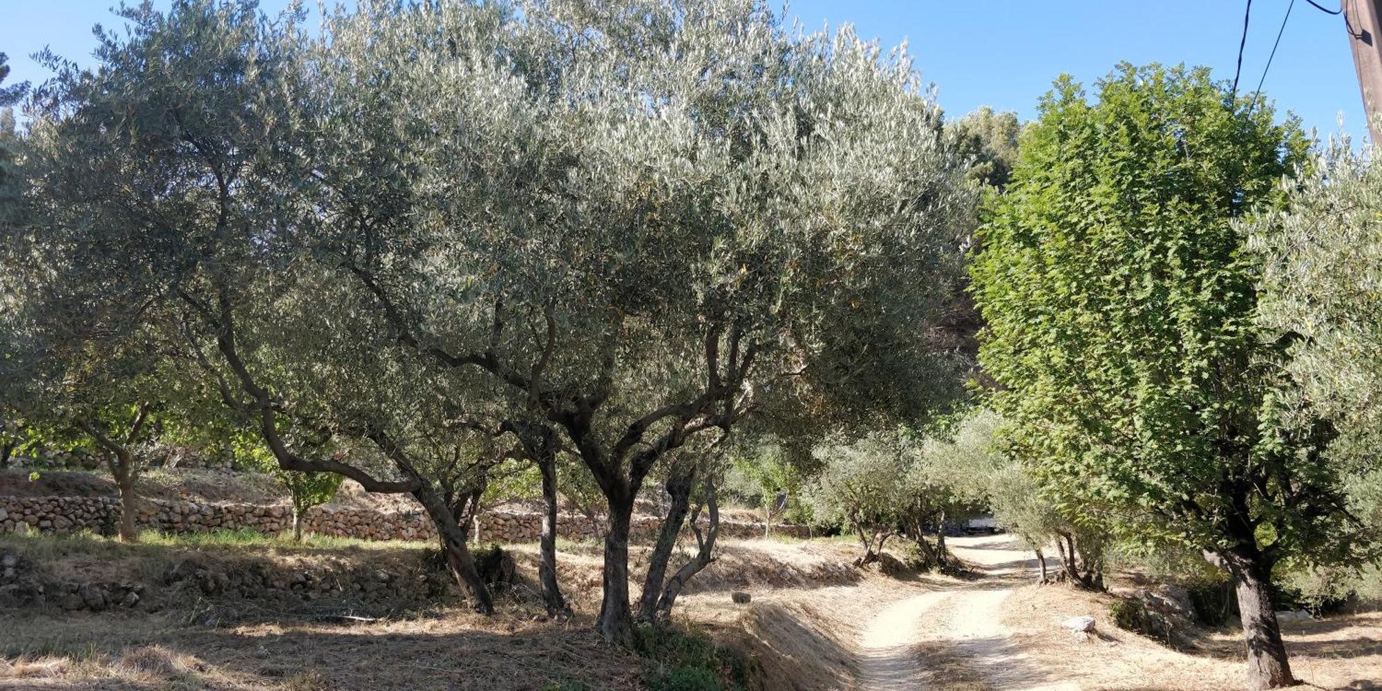 Villa Cigalons En Pleine Pinede Avec Piscine Chauffee De Mai A Septembre Auriol Exterior foto