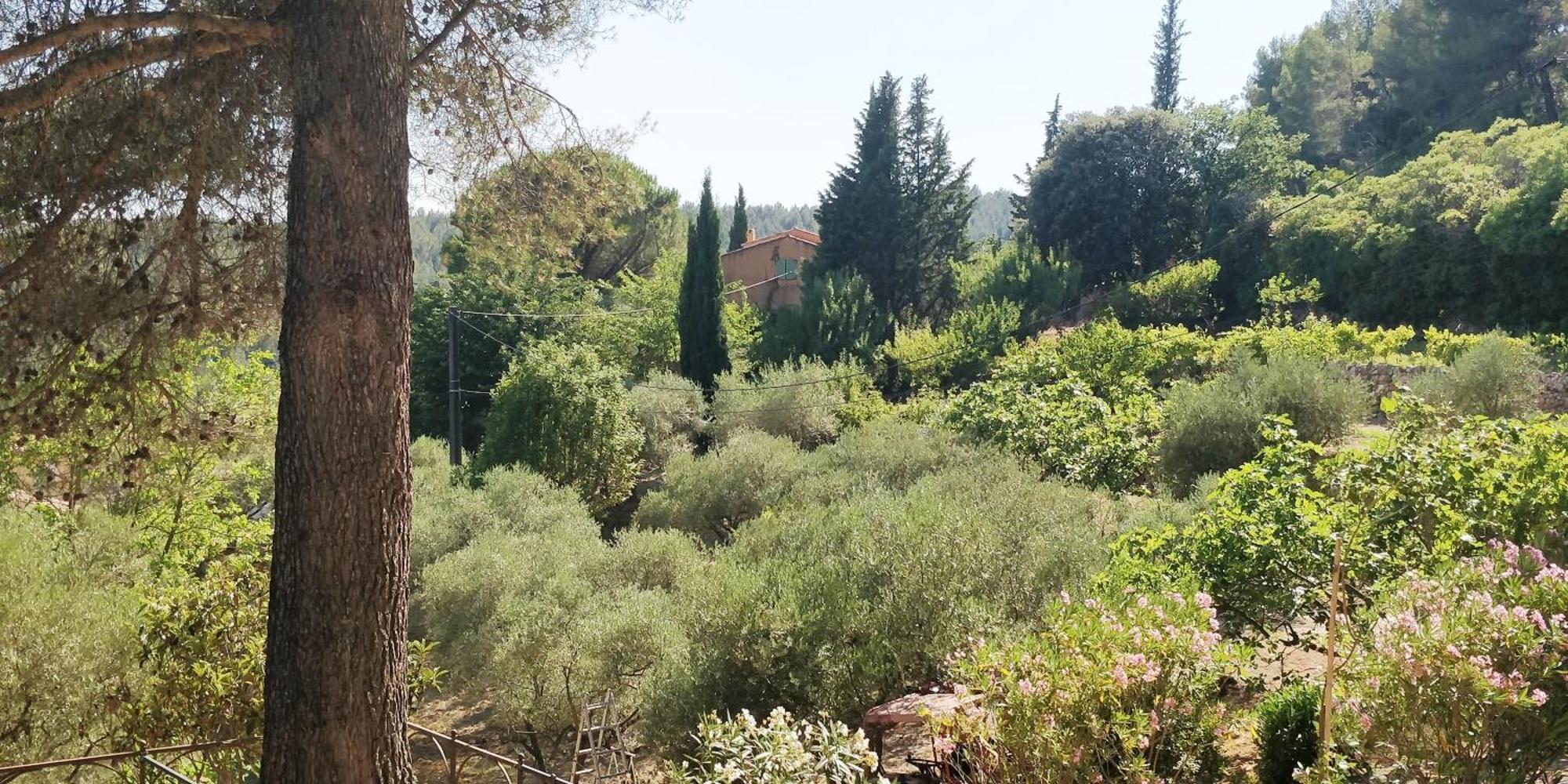 Villa Cigalons En Pleine Pinede Avec Piscine Chauffee De Mai A Septembre Auriol Exterior foto