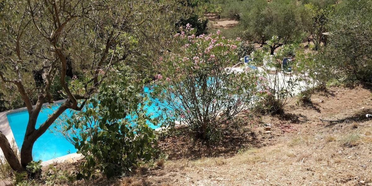 Villa Cigalons En Pleine Pinede Avec Piscine Chauffee De Mai A Septembre Auriol Exterior foto