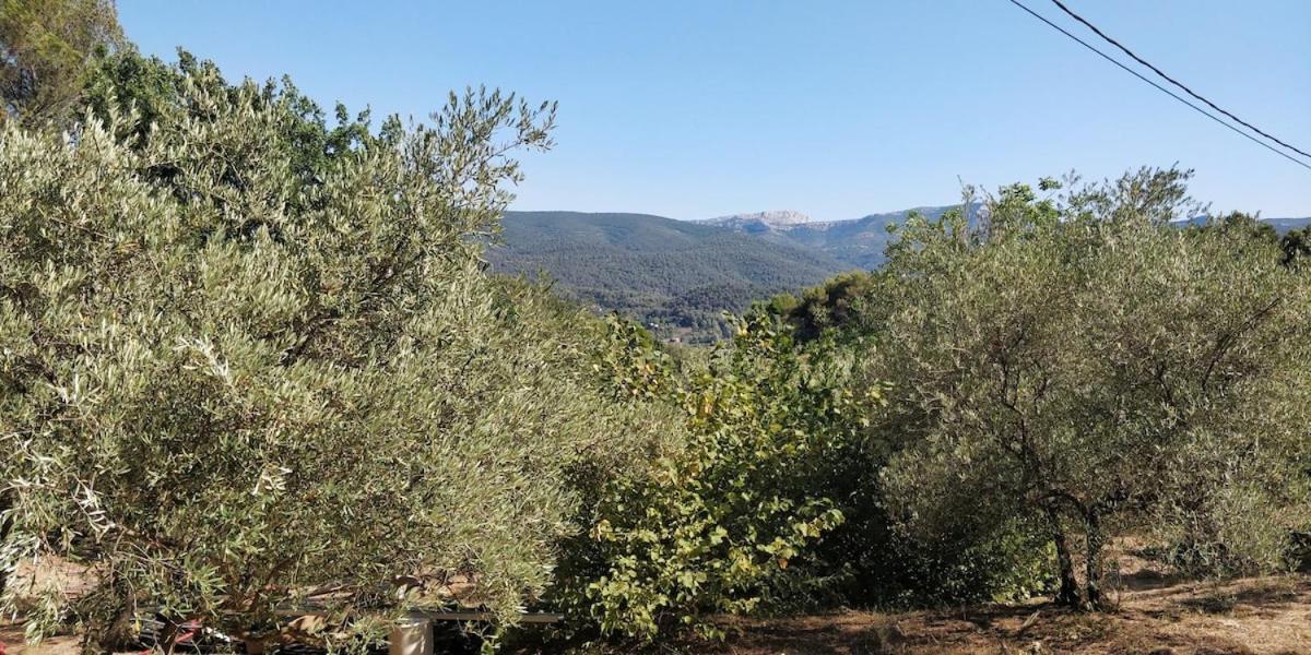 Villa Cigalons En Pleine Pinede Avec Piscine Chauffee De Mai A Septembre Auriol Exterior foto